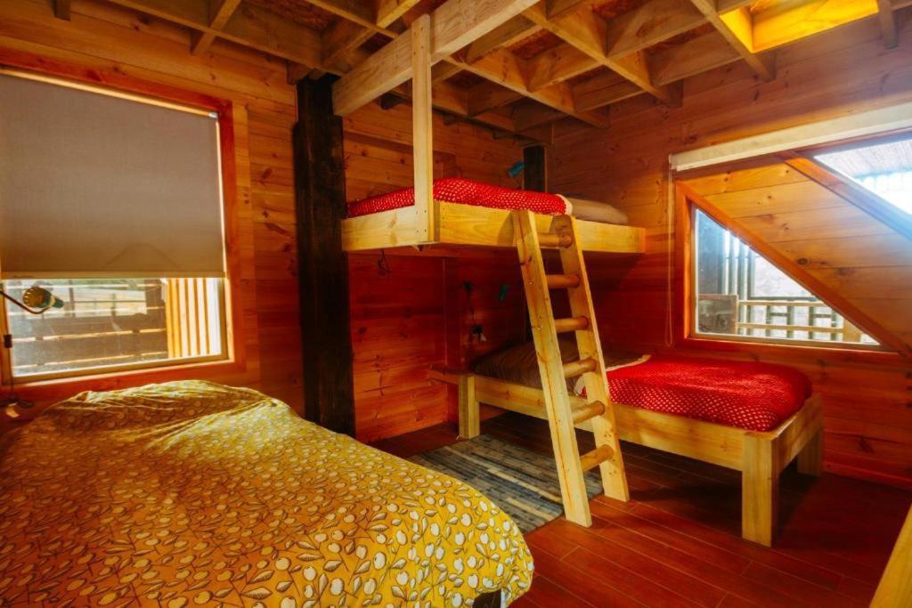 Sirena Insolente Hostel & Suites ピチレム エクステリア 写真